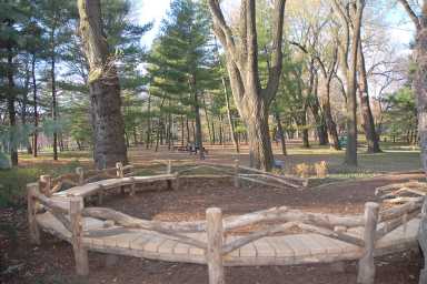 Arthur-Ross-Pinetum-credit-Central-Park-Conservancy