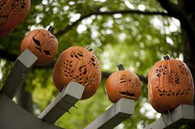 New York Botanical Garden 2 — photo by Ivo M. Vermeulen