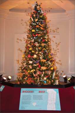 Full tree shot_RM_7693