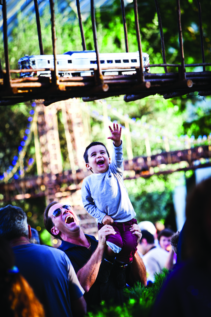 New York Botanical Garden Holiday Train Show