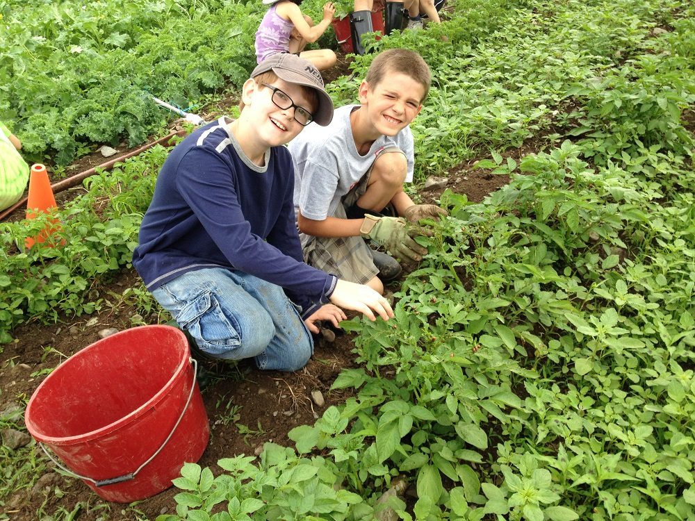 Hawthorne Valley School