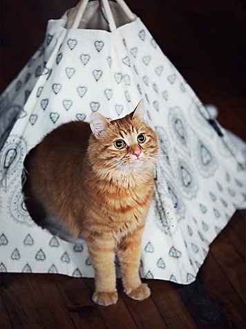 Free People Printed Cat Tipi