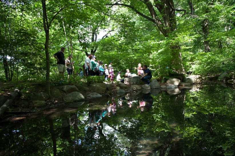 Prospect Park: The Peninsula and the Lullwater