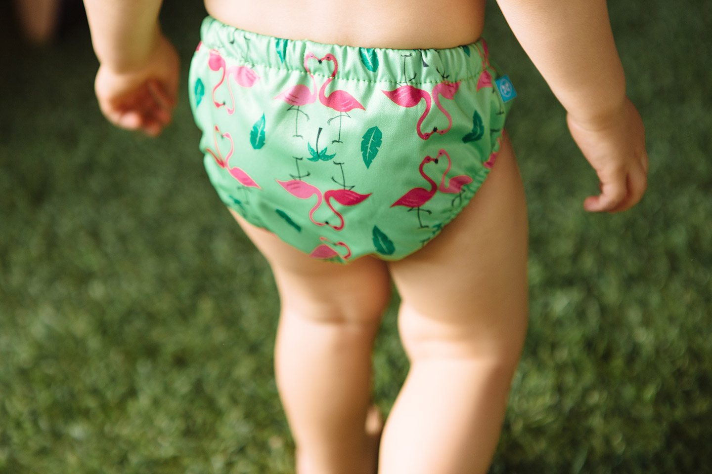 Honest Company Swim Diapers