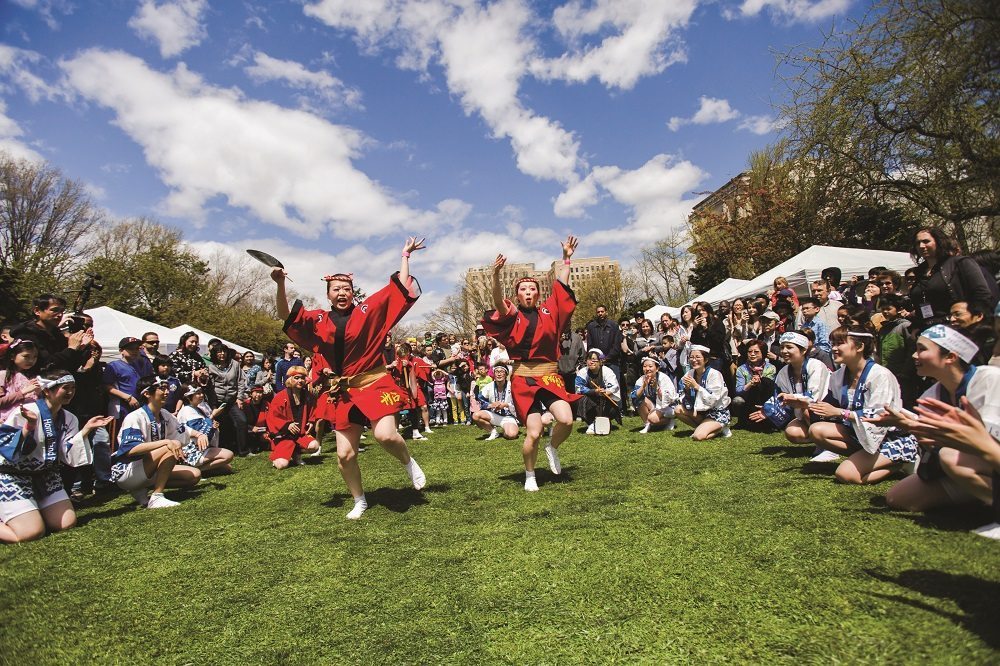 Sakura Matsuri Festival at the Brooklyn Botanic Garden