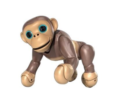 Zoomer Chimp