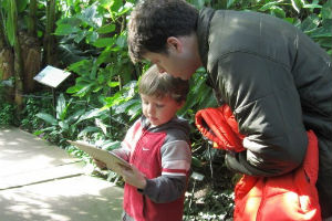 Brooklyn Botanic Garden's February Break Discovery Days