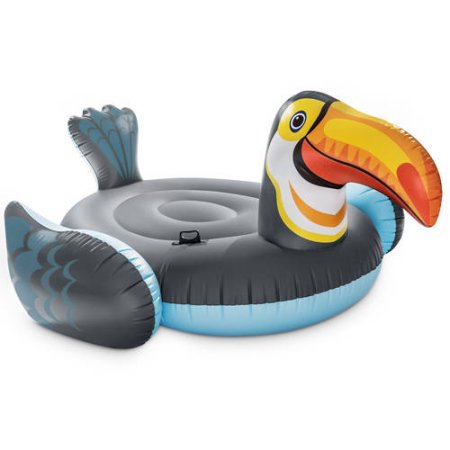 Must-Have Novelty Floats by Intex