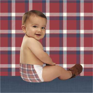 The Camper Plaid Lifestyle