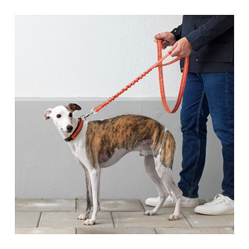 Anti-Shock Leash