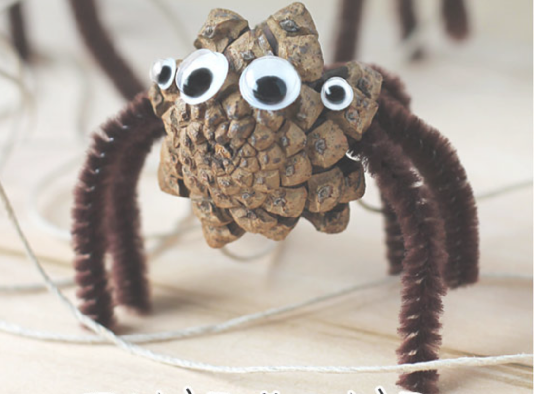 Pinecone Spiders