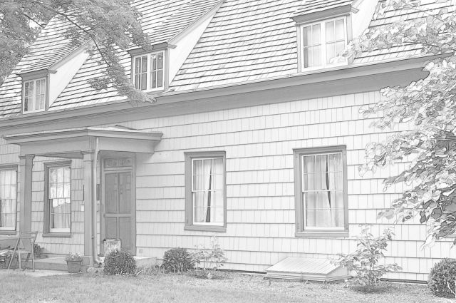 The Search For Freedom in Queens