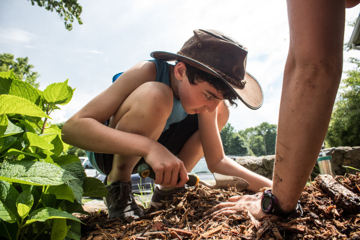 boy-looking-in-the-dirt.jpg