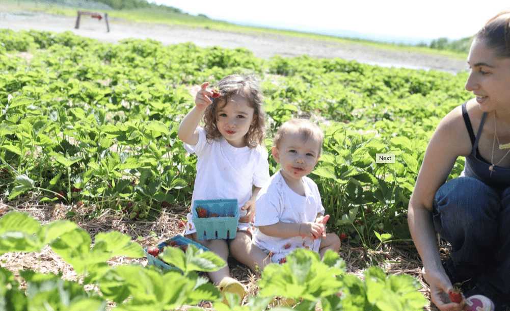 Lawrence Farm Orchards