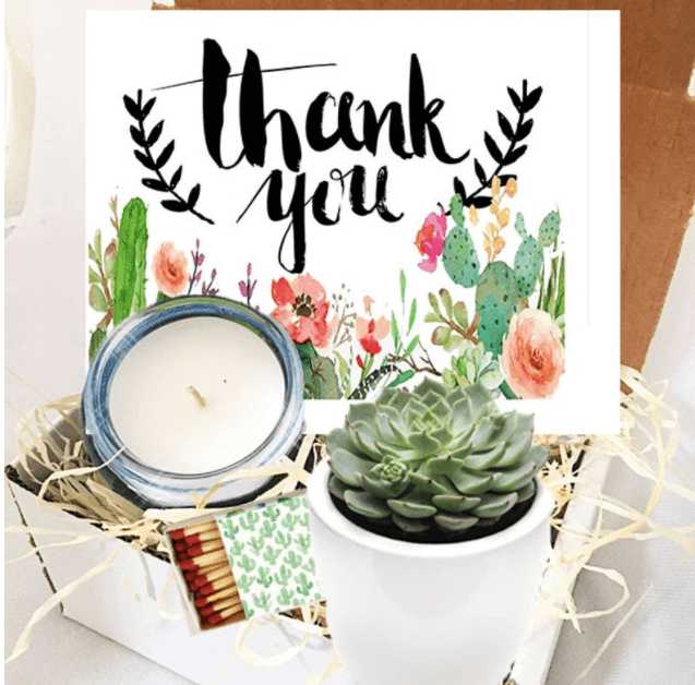 Succulent Gift Box