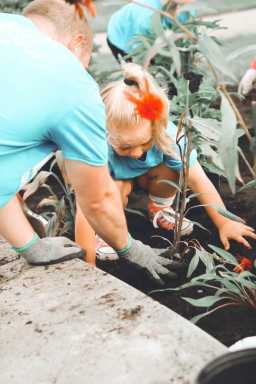 photo-1566938077754-8a2ea6258253