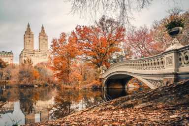 Best New York Fall Family Bucket List 2024