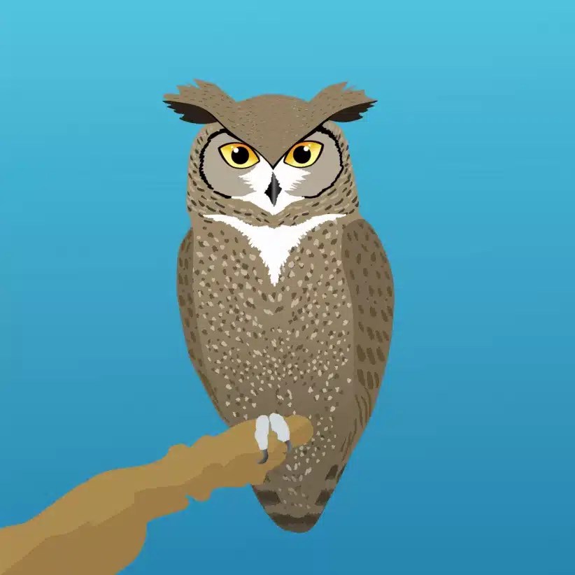 Illustration of a brown owl with yellow eyes and feather tufts, perched on a branch against a blue background.