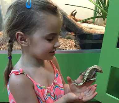 Animal-Meet-and-Greet