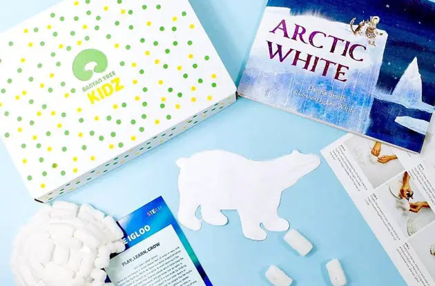 Banyan Tree Kidz subscription box for kids