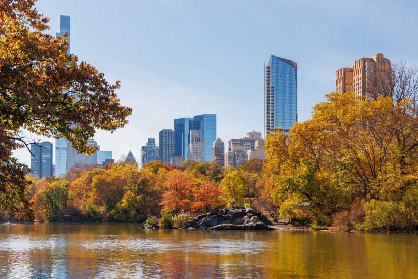 Eye-catching Spots for Leaf Peeping in NYC