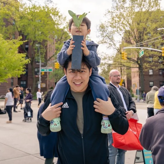 Get a Free Tree in NYC Just in Time for Earth Day! 