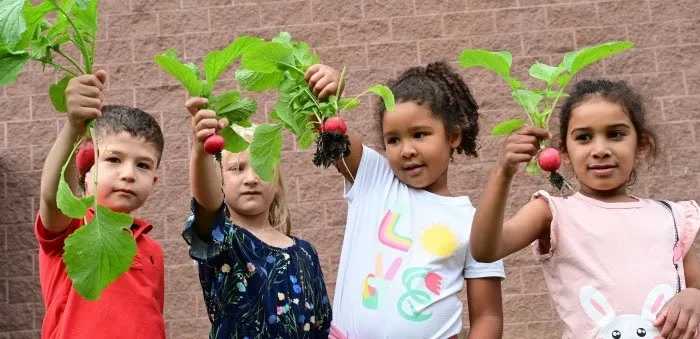 Four young children stand smiling outdoors in front of a brick wall, each proudly holding up a freshly picked radish with green leaves.