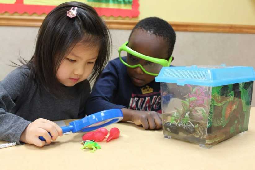 Two young children observe objects on a table, using a blue magnifying glass beside a small aquarium with plants and toys.