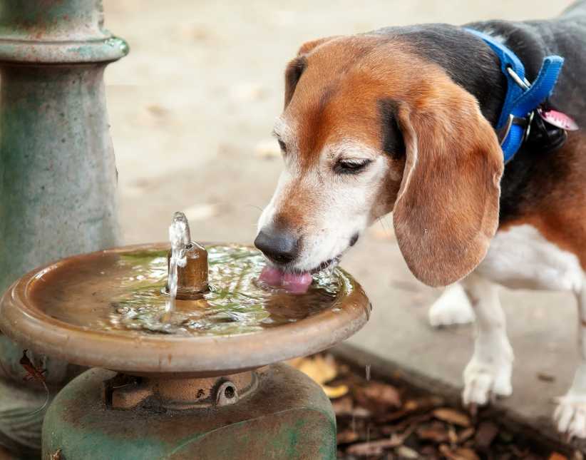 Beat the Heat! How to Stay Cool in and Around NYC During a Summer Heat Wave