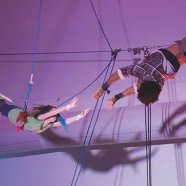 Two people performing a flying trapeze act inside a circus tent reach out to catch each other in midair, illuminated by purple lighting.