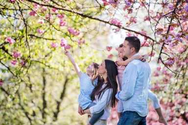 A young girl reaches for blossoms; her family stands near, amidst a blooming cherry tree in a park.