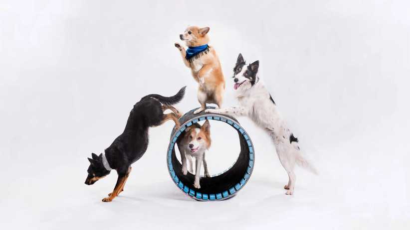 A Year of Fun: A Month-by-Month Guide to Events Across NYC and Beyond- New York Family