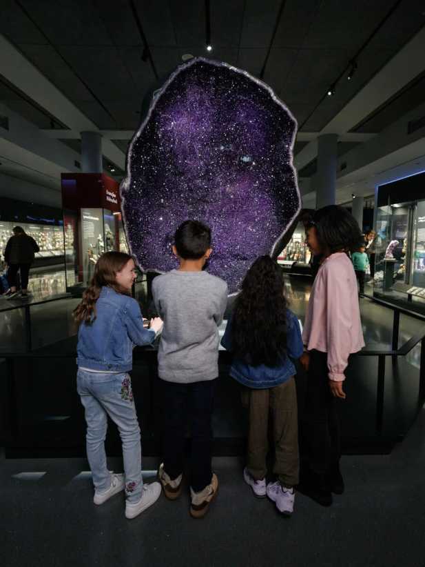 A Night at the Museum Sleepovers Are Back at AMNH!