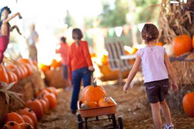 Family-Friendly Fall Events in Queens
