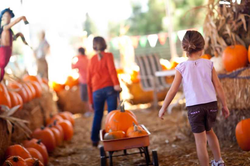 Family-Friendly Fall Events in Queens