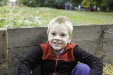 Hayrides In and Near NYC for a Family Treat This Fall