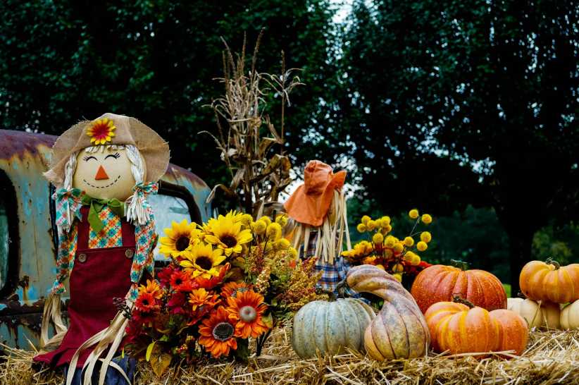 Fun Things to Do with the Kids This Weekend in Queens